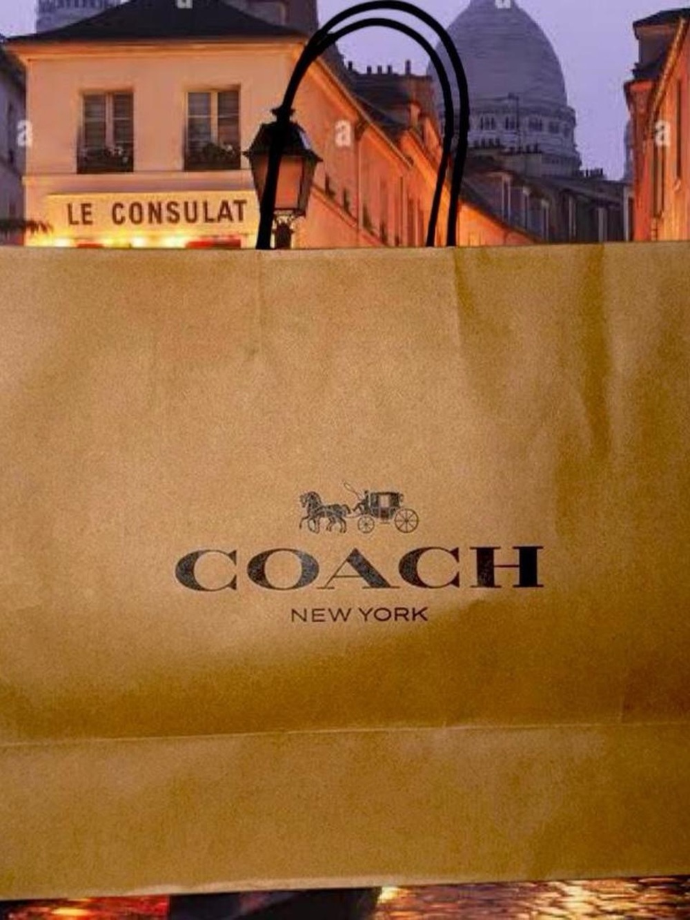 Large Coach Shopping Bag with Tissue Paper Like New - Picture 5 of 5